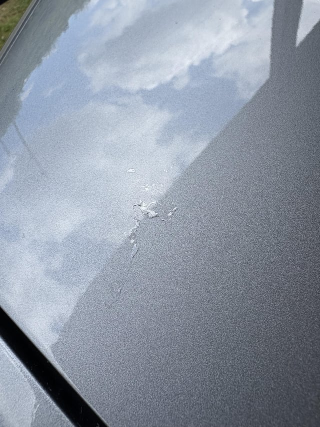 Was löst sich hier auf meiner Motorhaube ab?