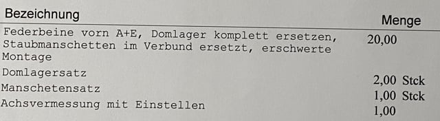 Federbein- / Domlager – 1. Achse links und rechts – ausgeschlagen