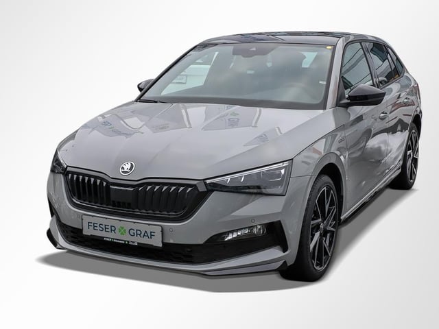 Skoda Scala, worauf achten?