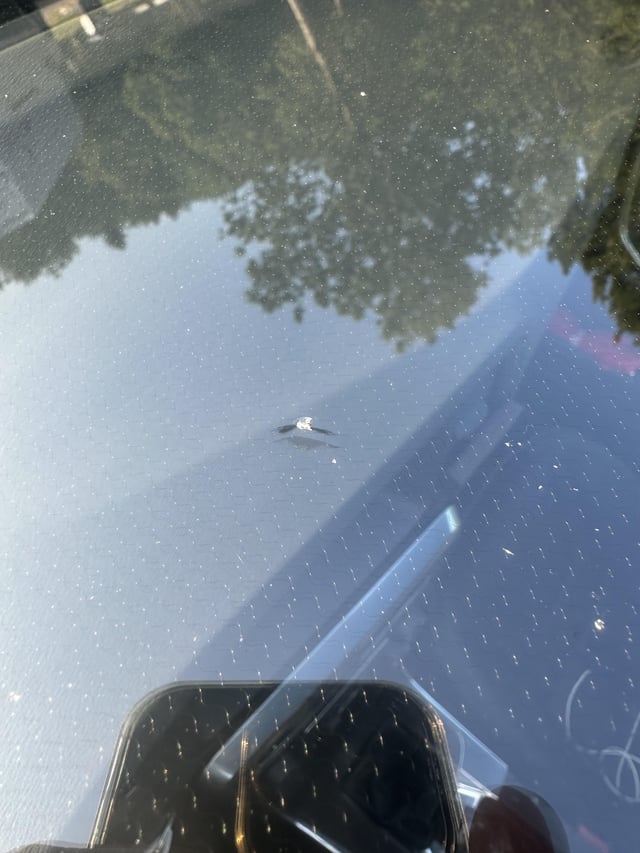 Steinschlag… alles halb so wild oder doch zu Carglass?