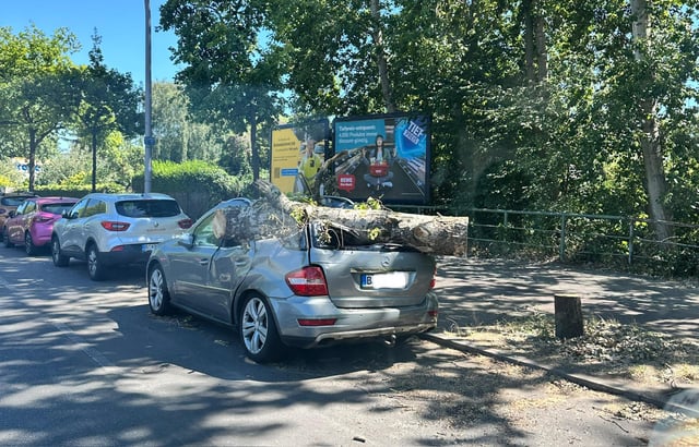 Es wird hier nie langweilig, in der schönsten Stadt der Welt.